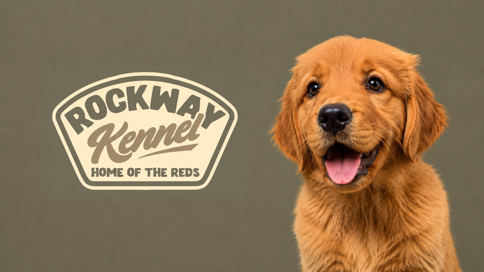 Rockway Kennel logo beside a smiling Golden Retriever puppy